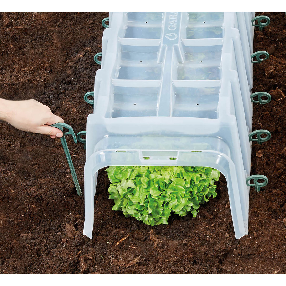 Garantia  Pflanztunnel Sunny 3er-Komplettset inkl. Endkappen und Bodenanker Bild 5