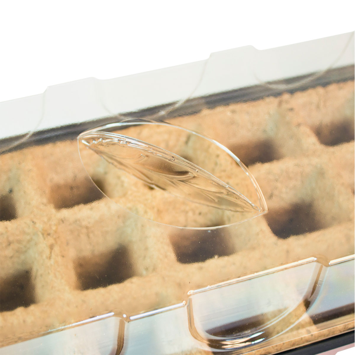 Windhager  Haube für Saatschalen 38x24x13 cm Bild 2