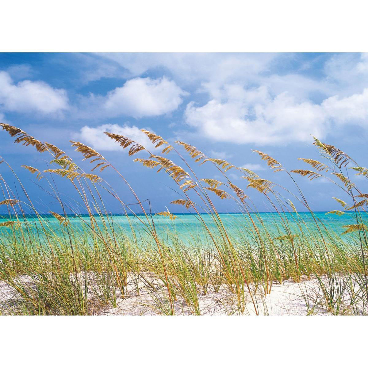 Komar Papier-Fototapete Ocean Breeze 8-teilig 368 x 254 cm Bild 1