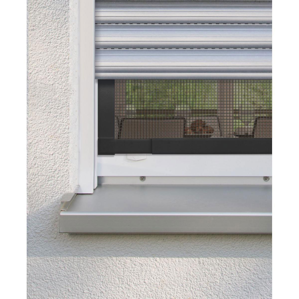 Schellenberg Insektenschutz-Fenster Telescope 140 x 150 cm anthrazit Bild 6