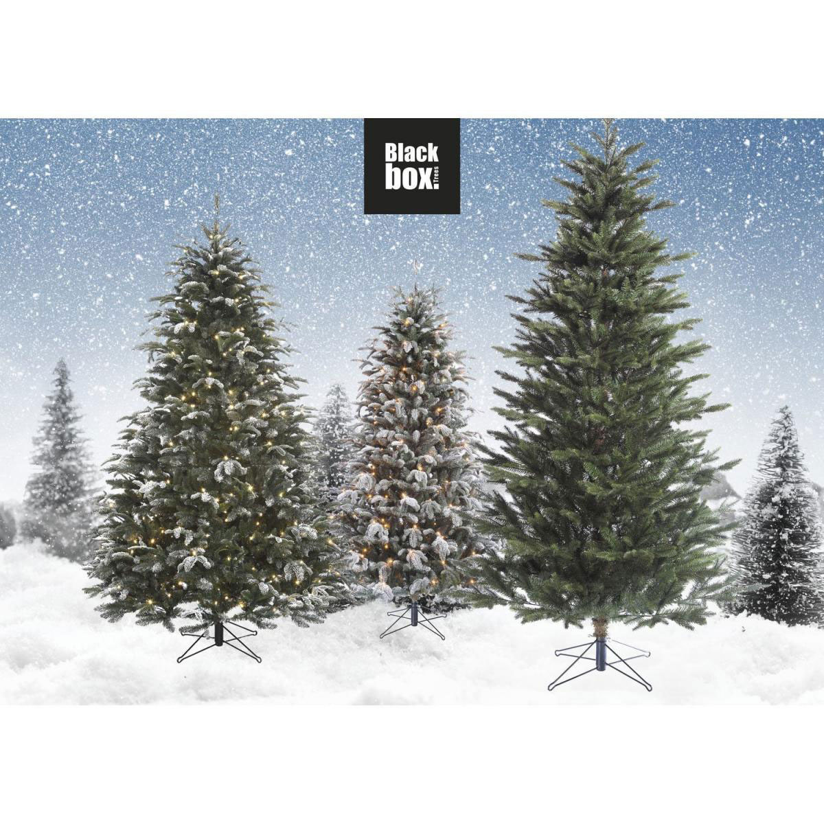 Tannenbaum Delux Toronto grün 185 cm Bild 3