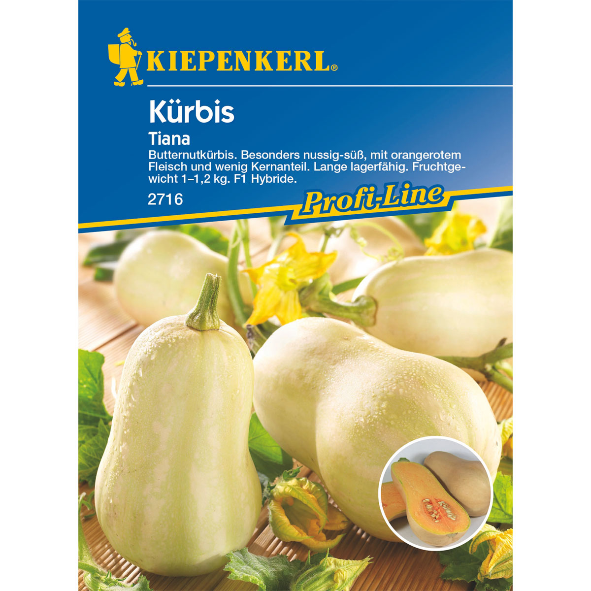 Kiepenkerl Kürbis Tiana Bild 1