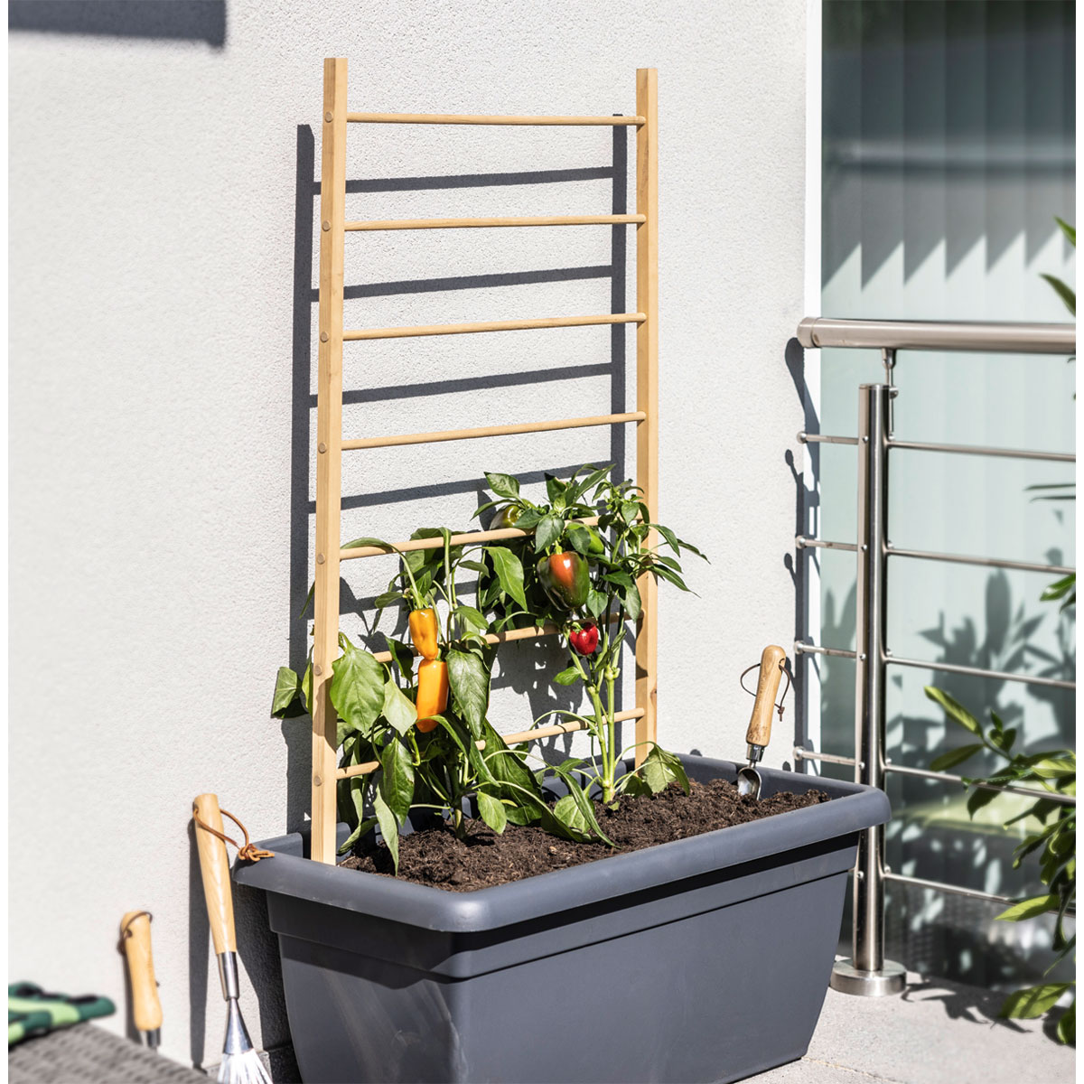 Windhager  Holz-Rankhilfe Leiter 80x170 cm Bild 1