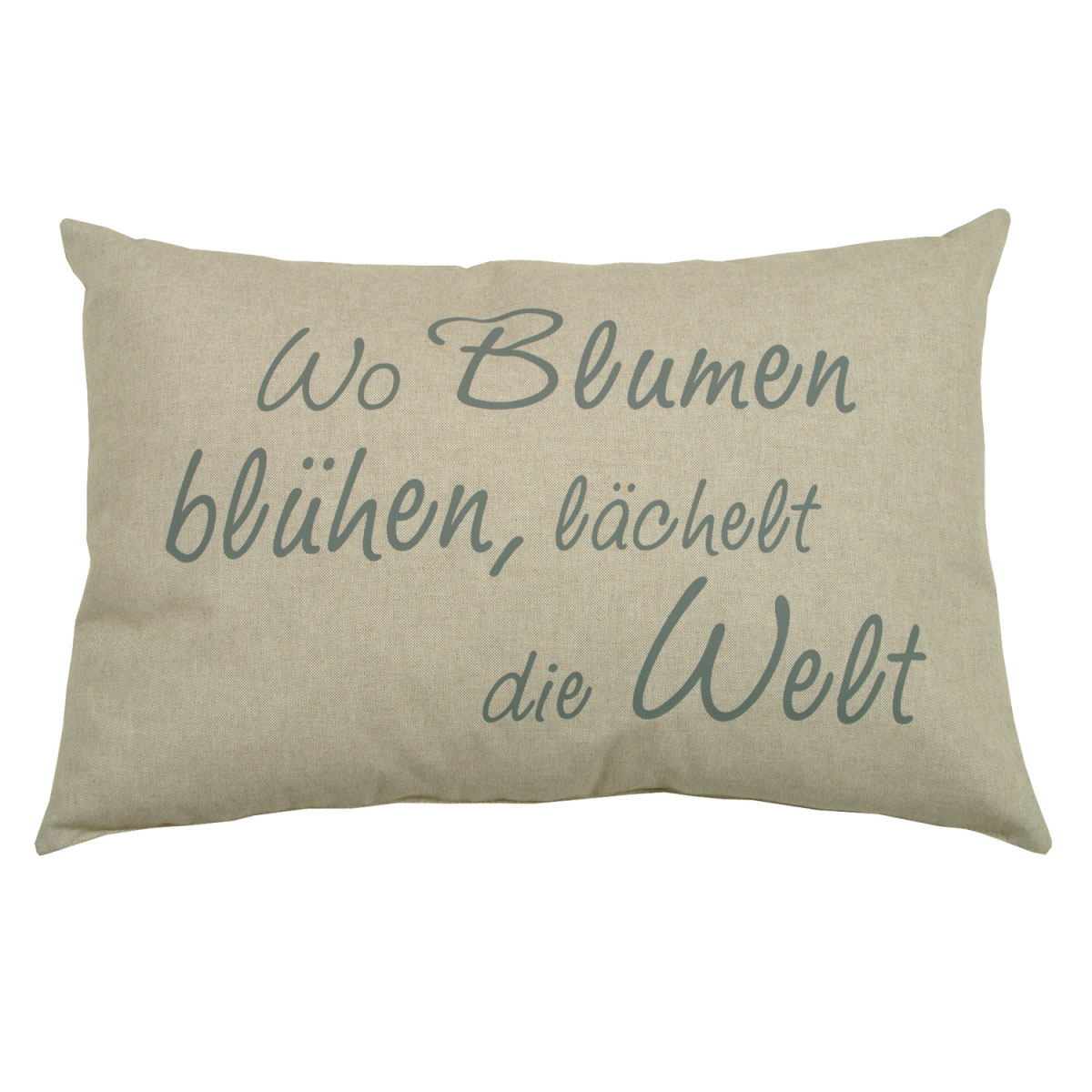 GO-DE Spruechekissen m Fuellung Sophia 2943 ca 40 x 40 cm beige