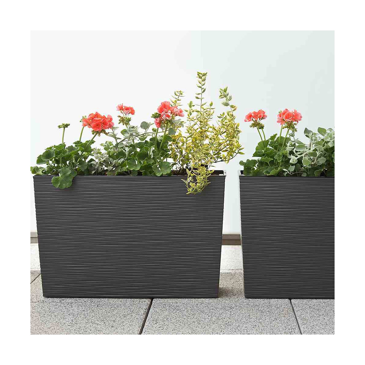 Siena Garden Pflanzgefäß Loire 56 x 19 x 36,5 cm graphit Rillenoptik Bild 4